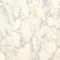 80x120 cm Rectangular Compact Table Top