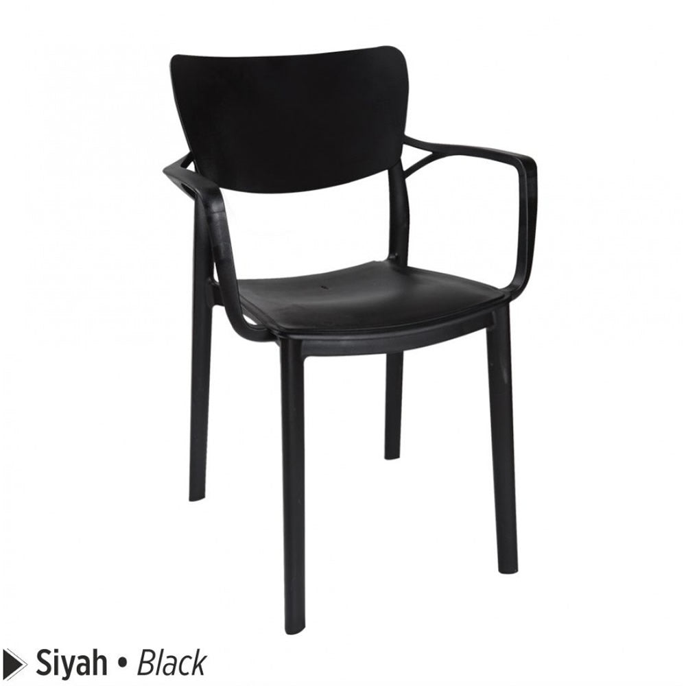 Delsan Plastic Chair