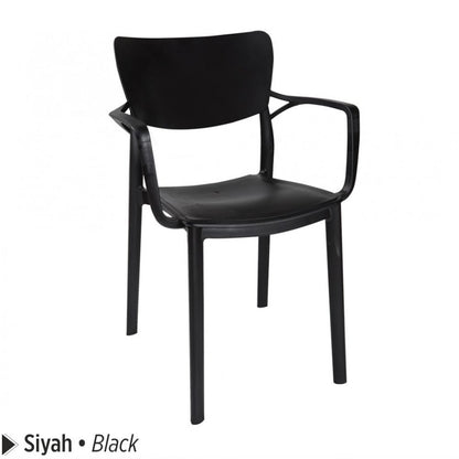 Delsan Plastic Chair