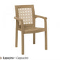 Roma Plastic Armchair